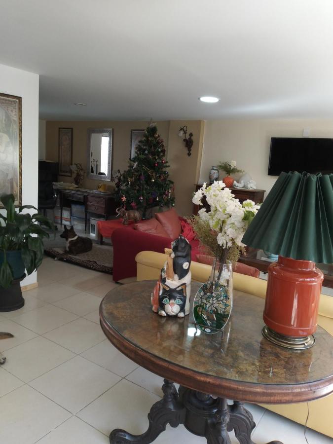 Charming Sunny Bedroom Overlooking Beautiful Amsterdam Avenue In Best Condesa Area Mexico City Ngoại thất bức ảnh