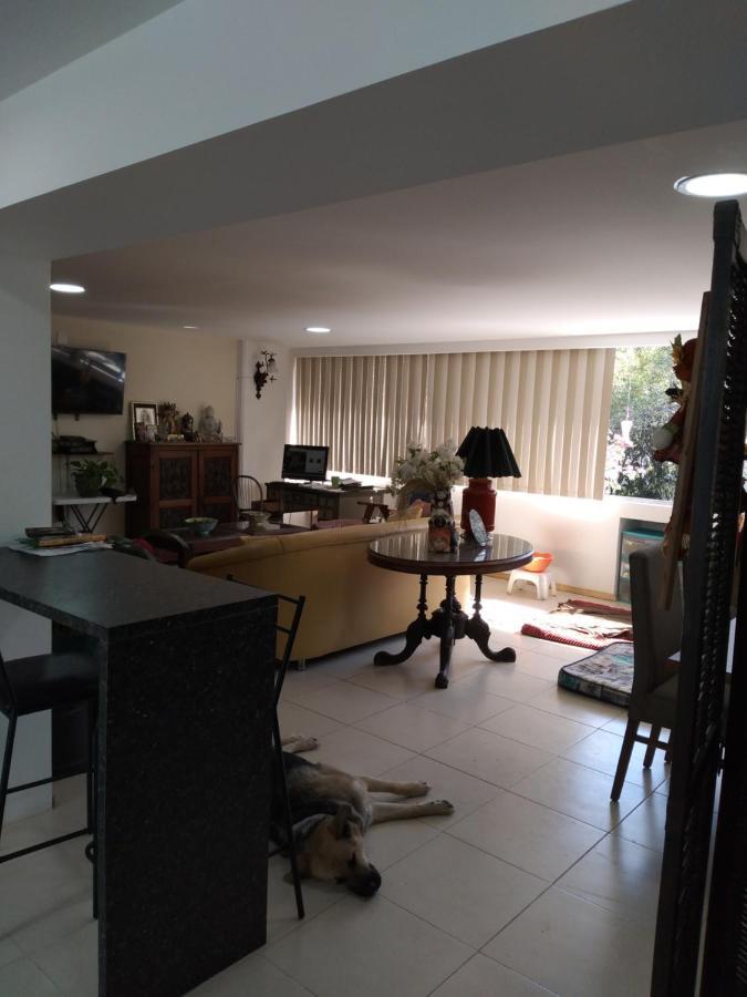 Charming Sunny Bedroom Overlooking Beautiful Amsterdam Avenue In Best Condesa Area Mexico City Ngoại thất bức ảnh