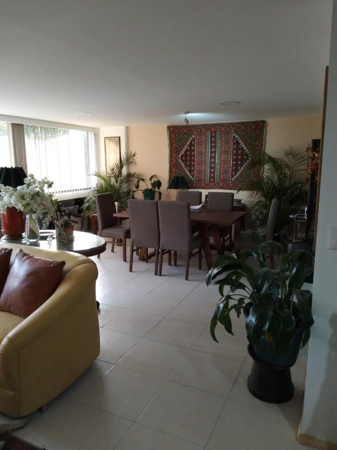Charming Sunny Bedroom Overlooking Beautiful Amsterdam Avenue In Best Condesa Area Mexico City Ngoại thất bức ảnh