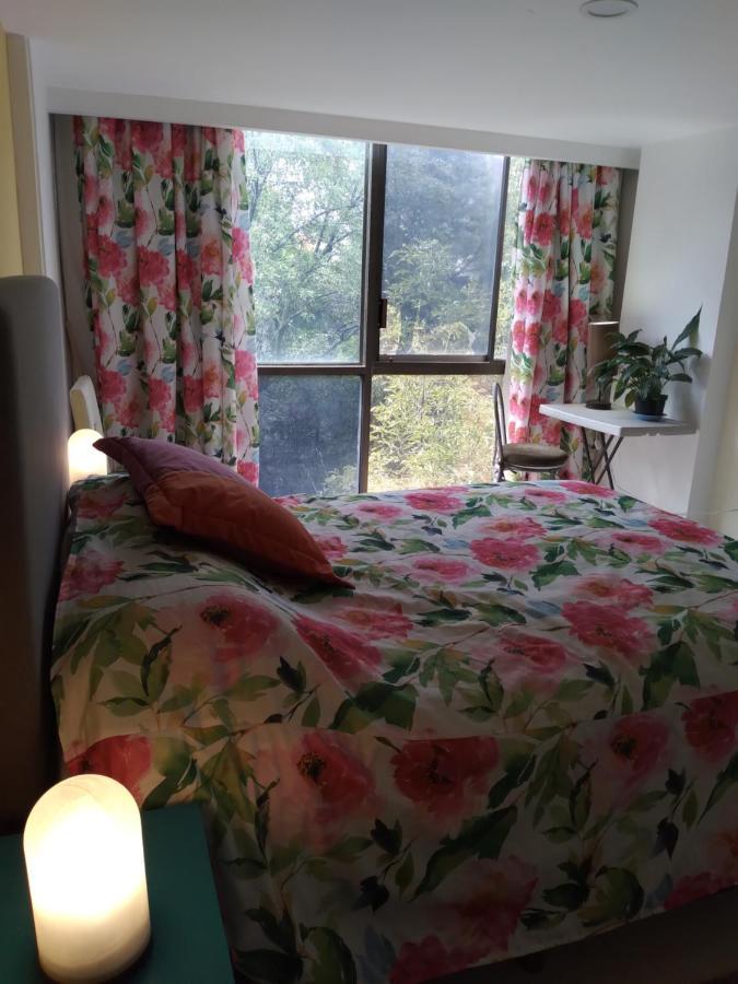 Charming Sunny Bedroom Overlooking Beautiful Amsterdam Avenue In Best Condesa Area Mexico City Ngoại thất bức ảnh