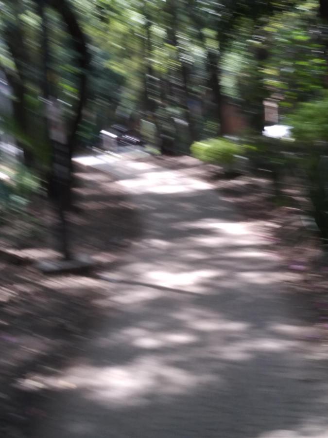 Charming Sunny Bedroom Overlooking Beautiful Amsterdam Avenue In Best Condesa Area Mexico City Ngoại thất bức ảnh