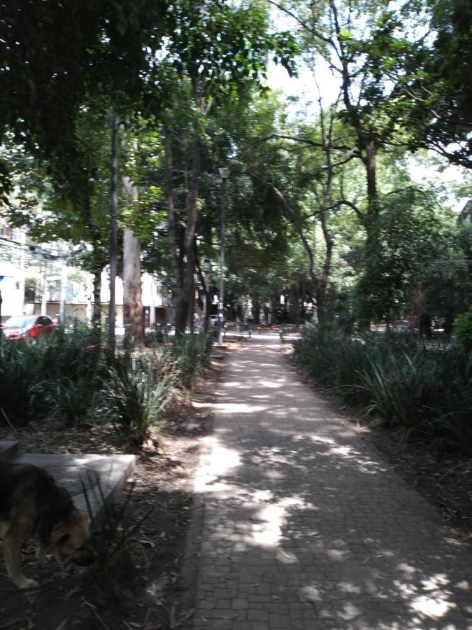 Charming Sunny Bedroom Overlooking Beautiful Amsterdam Avenue In Best Condesa Area Mexico City Ngoại thất bức ảnh