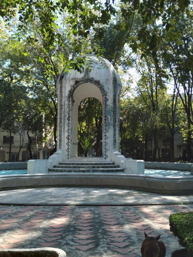 Charming Sunny Bedroom Overlooking Beautiful Amsterdam Avenue In Best Condesa Area Mexico City Ngoại thất bức ảnh