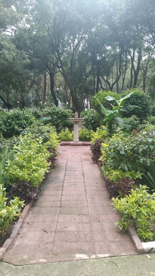 Charming Sunny Bedroom Overlooking Beautiful Amsterdam Avenue In Best Condesa Area Mexico City Ngoại thất bức ảnh
